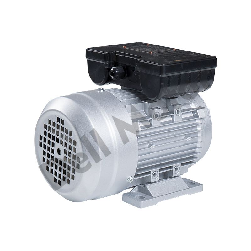 Einphasenmotor aus Aluminium der Serie YL, YC, YY